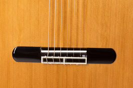 Admira Artista Serie Conservatorio Tapa Cedro Fondo Bocote