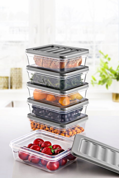 Hermia Set Cajas Almacenamiento Plástico Gris 6 Piezas MDFRSB-2-6 Hermia Set Cajas Almacenamiento Plástico Gris 6 Piezas MDFRSB-2-6