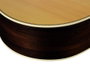 Richwood G-65-CEVA Grand Auditorium