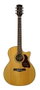 Richwood G-65-CEVA Grand Auditorium