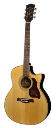 Richwood G-65-CEVA Grand Auditorium