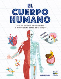 El cuerpo humano, Marnie Willow - Estudio Didactico