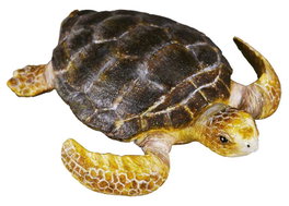 Collecta Tortuga Boba M 88094 Réplica Animal Marino