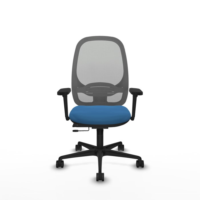 PIQUERAS Y CRESPO Silla de oficina Cilanco con mecanismo Sincro/Traslack, Azul claro y Gris PIQUERAS Y CRESPO Silla de oficina Cilanco con mecanismo Sincro/Traslack, Azul claro y Gris