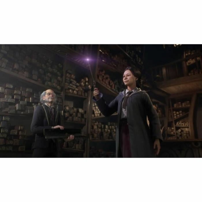 Warner Games Hogwarts Legacy: The Legacy of Hogwarts PS4
