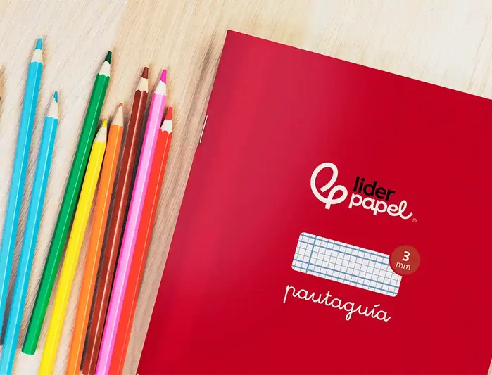 Liderpapel Libreta Pauta Guía A4 32 Hojas 75g/m² Cuadriculado Pautado 3mm con Margen 6 Colores Surtidos - Cartoncillo