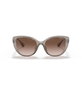Armani Exchange AX4111SU-824013 Gafas de sol Marrón
