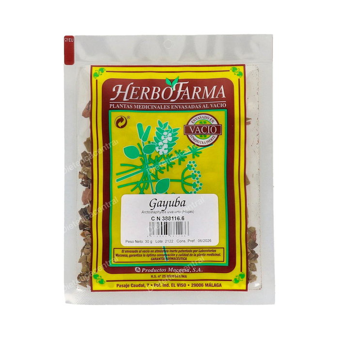 MACOESA GAYUBA HERBOFARMA 30gr MACOESA GAYUBA HERBOFARMA 30gr