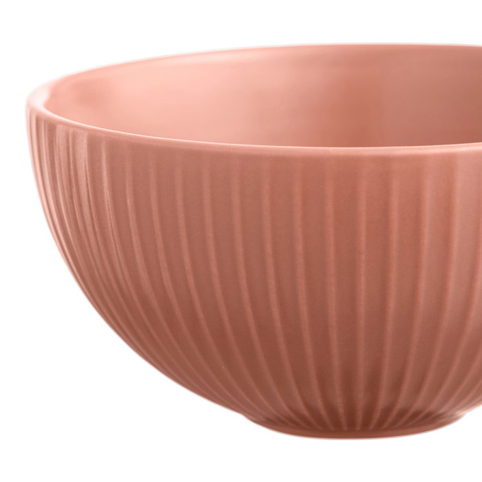 Day Bol Diámetro 12,5 cm Altura 6,5 cm Capacidad 300 ml Colores Surtidos