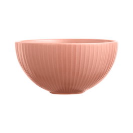 Day Bol Diámetro 12,5 cm Altura 6,5 cm Capacidad 300 ml Colores Surtidos