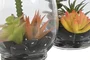DKD Home Decor Planta PVC Cristal 10x10x15 cm Surtida