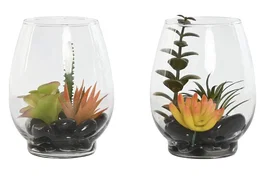 DKD Home Decor Planta PVC Cristal 10x10x15 cm Surtida