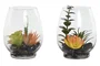 DKD Home Decor Planta PVC Cristal 10x10x15 cm Surtida