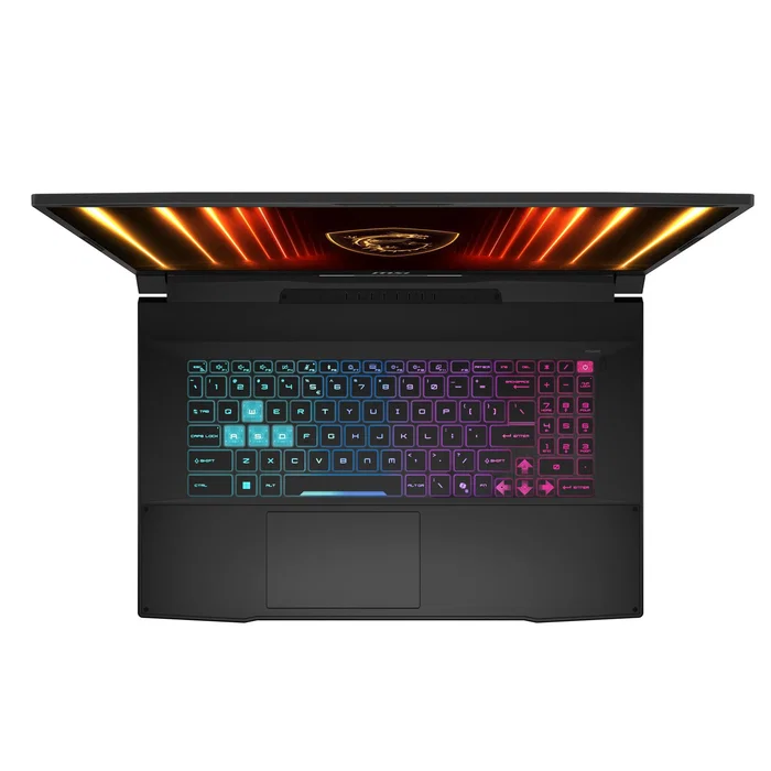MSI Katana 17 HX B14WGK-032XES Negro