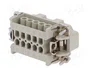 LAPP Conector HDC EPIC H-BVE Macho de 5 Pines