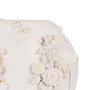 Jarrón Corales Poliresina Decoración 40 X 19 X 36 cm