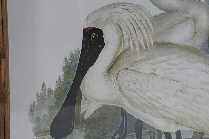 DKD Home Decor Cuadro Oriental Multicolor Cristal y Bambú con Diseño de Ave 3 x 60 x 45 cm (4 Unidades) DKD Home Decor Cuadro Oriental Multicolor Cristal y Bambú con Diseño de Ave 3 x 60 x 45 cm (4 Unidades)