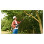 Bosch UniversalChainPole 18 Sierra de pértiga telescópica con batería 18V 2.5Ah