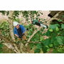 Bosch UniversalChainPole 18 Sierra de pértiga telescópica con batería 18V 2.5Ah