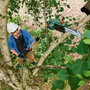 Bosch UniversalChainPole 18 Sierra de pértiga telescópica con batería 18V 2.5Ah