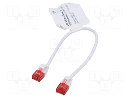 GOOBAY Patch Cord Cat 6 U/UTP 0,25m Blanco