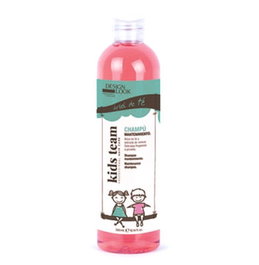 Design Look Champú Mantenimiento Niños 300ml