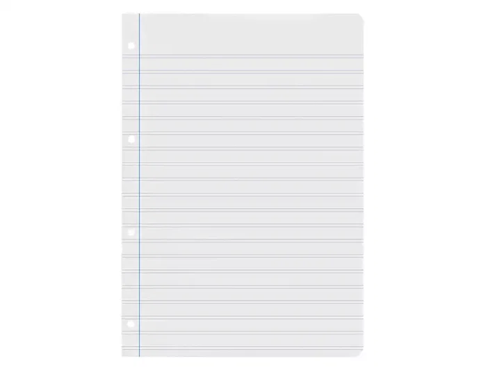 Liderpapel Recambio A4 100 hojas 60gr pauta 5ª 2.5mm con margen 4 taladros
