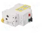 SCHNEIDER ELECTRIC DPN Vigi K RCBO 10A 30mA 1+N