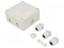 OBO BETTERMANN Caja de conexiones B 9/T Gris claro
