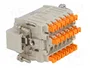 ILME CDSHM18 Conector HDC Macho 18 Pines