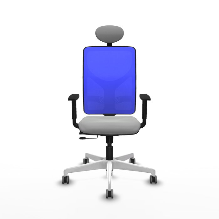 PIQUERAS Y CRESPO Silla de oficina Motilla con mecanismo Sincro/Traslack, Gris claro y Azul
