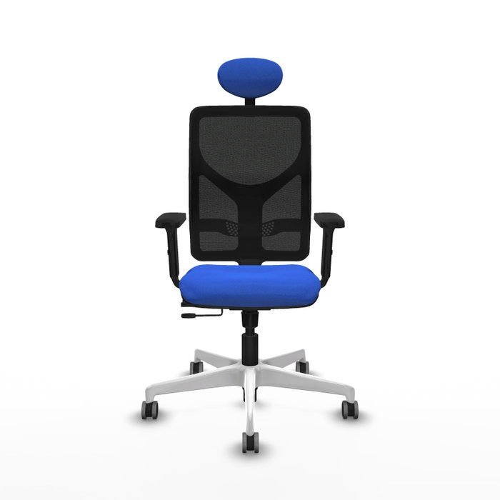 PIQUERAS Y CRESPO Silla de oficina Motilla con mecanismo Sincro/Traslack Azul y Negro PIQUERAS Y CRESPO Silla de oficina Motilla con mecanismo Sincro/Traslack Azul y Negro