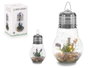 Giftdecor Bombilla Lavanda Tira Led Transparente Verde Cristal 14x29x14cm (Set de 8)