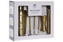 DKD Home Decor Set de Cóctel 5 Piezas Inox Mate Dorado 500ml