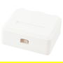 EQUIP 125124 Caja de superficie para 2 Keystone Jack con tapa, color blanco, compatible con Cat.5e, Cat.6, Cat.6A
