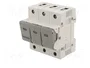 MERSEN D02 Interruptor de fusible para raíl DIN 35A 400V