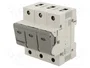MERSEN D02 Interruptor de fusible para raíl DIN 35A 400V