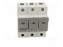 MERSEN D02 Interruptor de fusible para raíl DIN 35A 400V