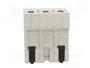MERSEN D02 Interruptor de fusible para raíl DIN 35A 400V