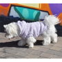 Nayeco Sudadera con Capucha Corazón Lila para Perros 50 cm