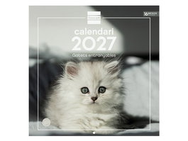 FINOCAM Calendario de pared 2027 con imágenes de gatitos en catalán, 300x300 mm