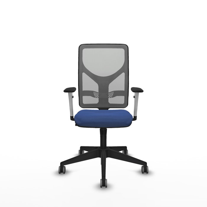 PIQUERAS Y CRESPO Silla de oficina Motilla con mecanismo Sincro, Azul marino y Gris PIQUERAS Y CRESPO Silla de oficina Motilla con mecanismo Sincro, Azul marino y Gris