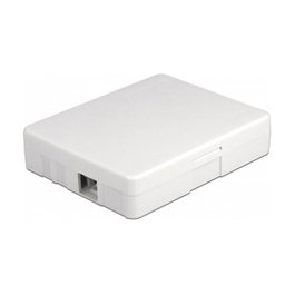 DeLOCK Caja de conexión de fibra óptica para montaje en pared, 2 x SC Simplex o LC Duplex, Blanco