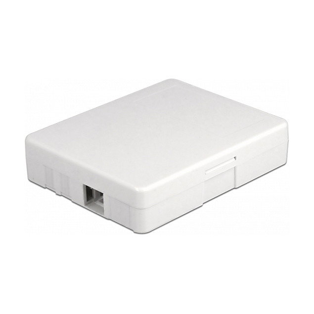 DeLOCK Caja de conexión de fibra óptica para montaje en pared, 2 x SC Simplex o LC Duplex, Blanco DeLOCK Caja de conexión de fibra óptica para montaje en pared, 2 x SC Simplex o LC Duplex, Blanco