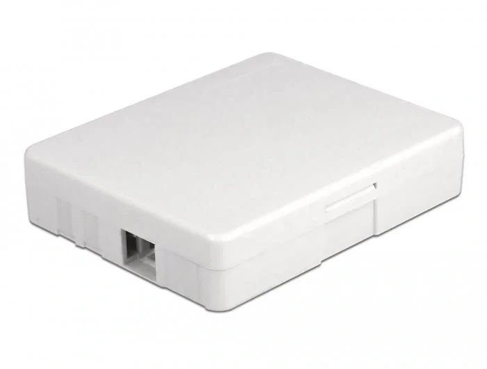 DeLOCK Caja de conexión de fibra óptica para montaje en pared, 2 x SC Simplex o LC Duplex, Blanco DeLOCK Caja de conexión de fibra óptica para montaje en pared, 2 x SC Simplex o LC Duplex, Blanco