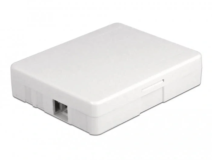 DeLOCK Caja de conexión de fibra óptica para montaje en pared, 2 x SC Simplex o LC Duplex, Blanco DeLOCK Caja de conexión de fibra óptica para montaje en pared, 2 x SC Simplex o LC Duplex, Blanco