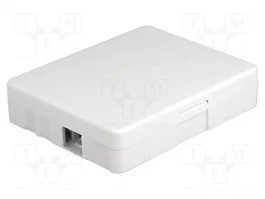 DeLOCK Caja de conexión de fibra óptica para montaje en pared, 2 x SC Simplex o LC Duplex, Blanco