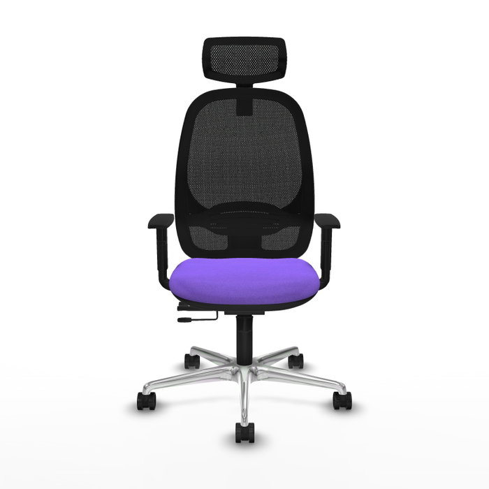 PIQUERAS Y CRESPO Silla de oficina Cilanco con mecanismo Sincro/Traslack, Lila y Negro PIQUERAS Y CRESPO Silla de oficina Cilanco con mecanismo Sincro/Traslack, Lila y Negro
