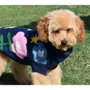 Nayeco Jersey Punto Agata 50 cm para Perro con Estampado de Flores para Paseos Seguros y Cómodos