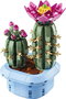 Lego Botanicals Juego de Construcción Cactus en Flor - Set de Bloques de Construcción para Adultos y Niños, Recomendado a Partir de 18 Meses